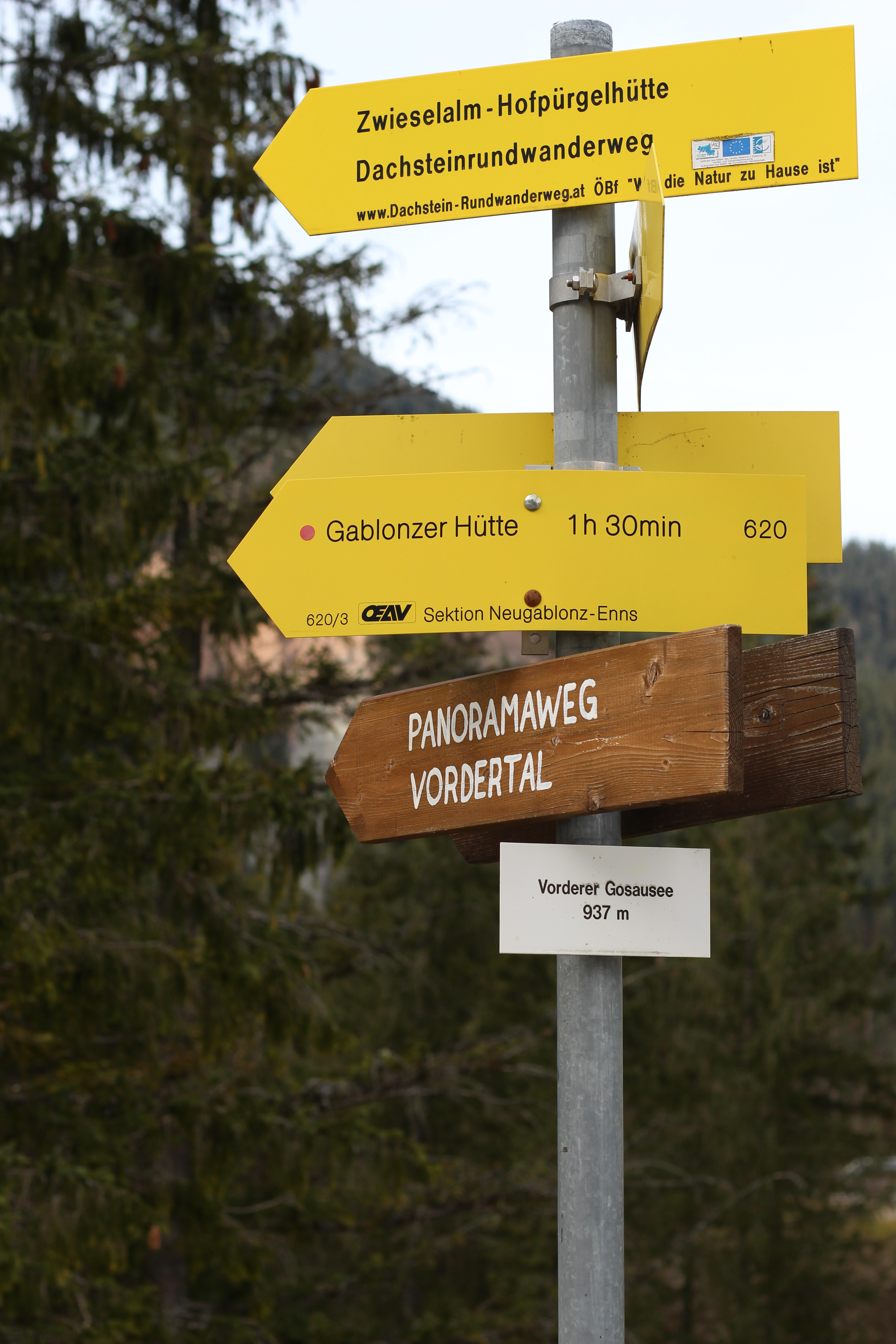 Gosausee Wanderwege