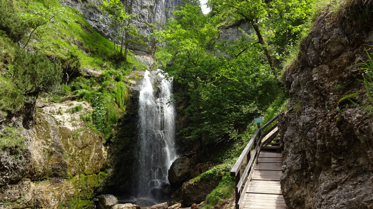 Wasserlochklamm in Palfau - Die schönste Klamm im Nationalpark Gesäuse!