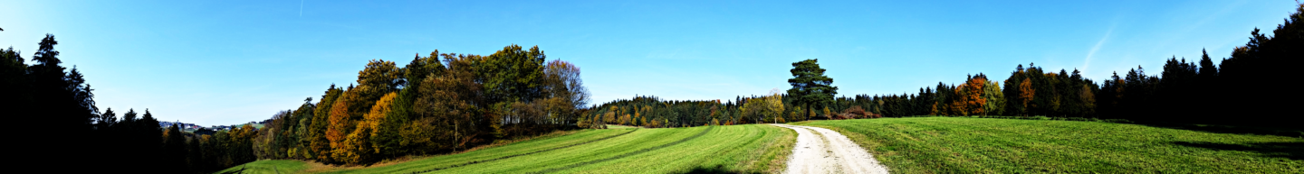 Herbst Panorama 2