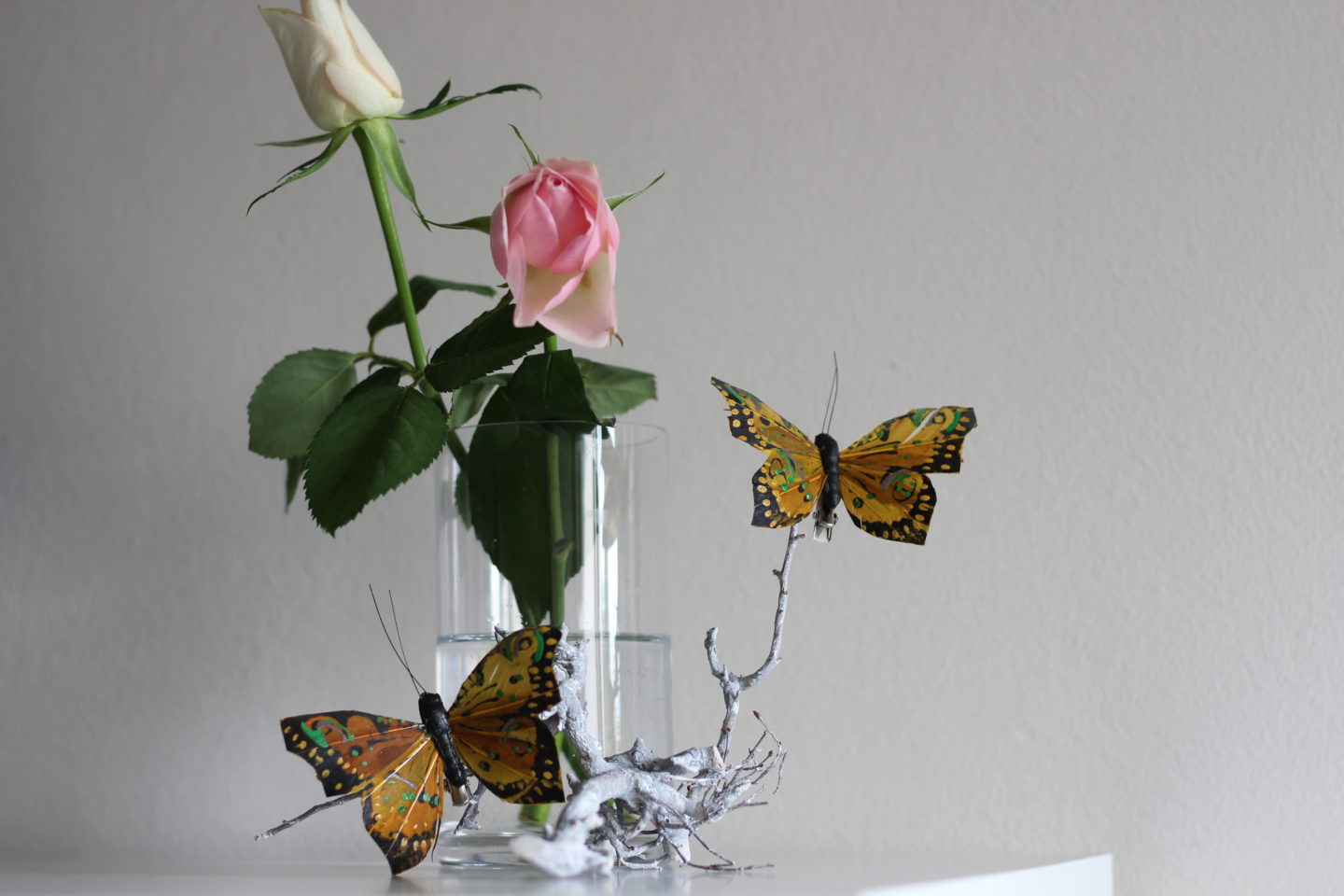 Dein HomeSpa Schmetterlinge