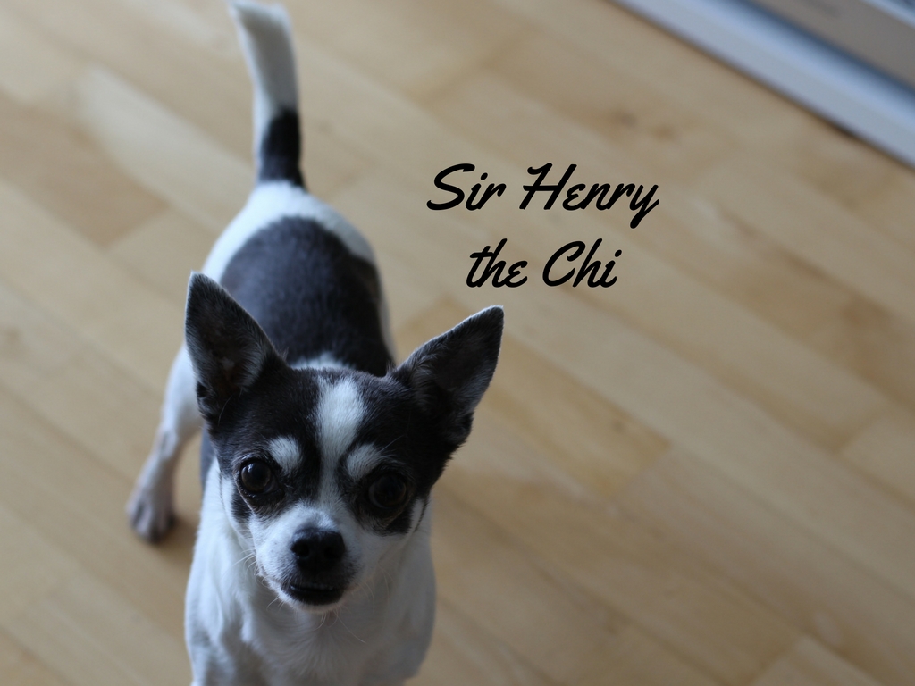 Sir Henry the Chi
