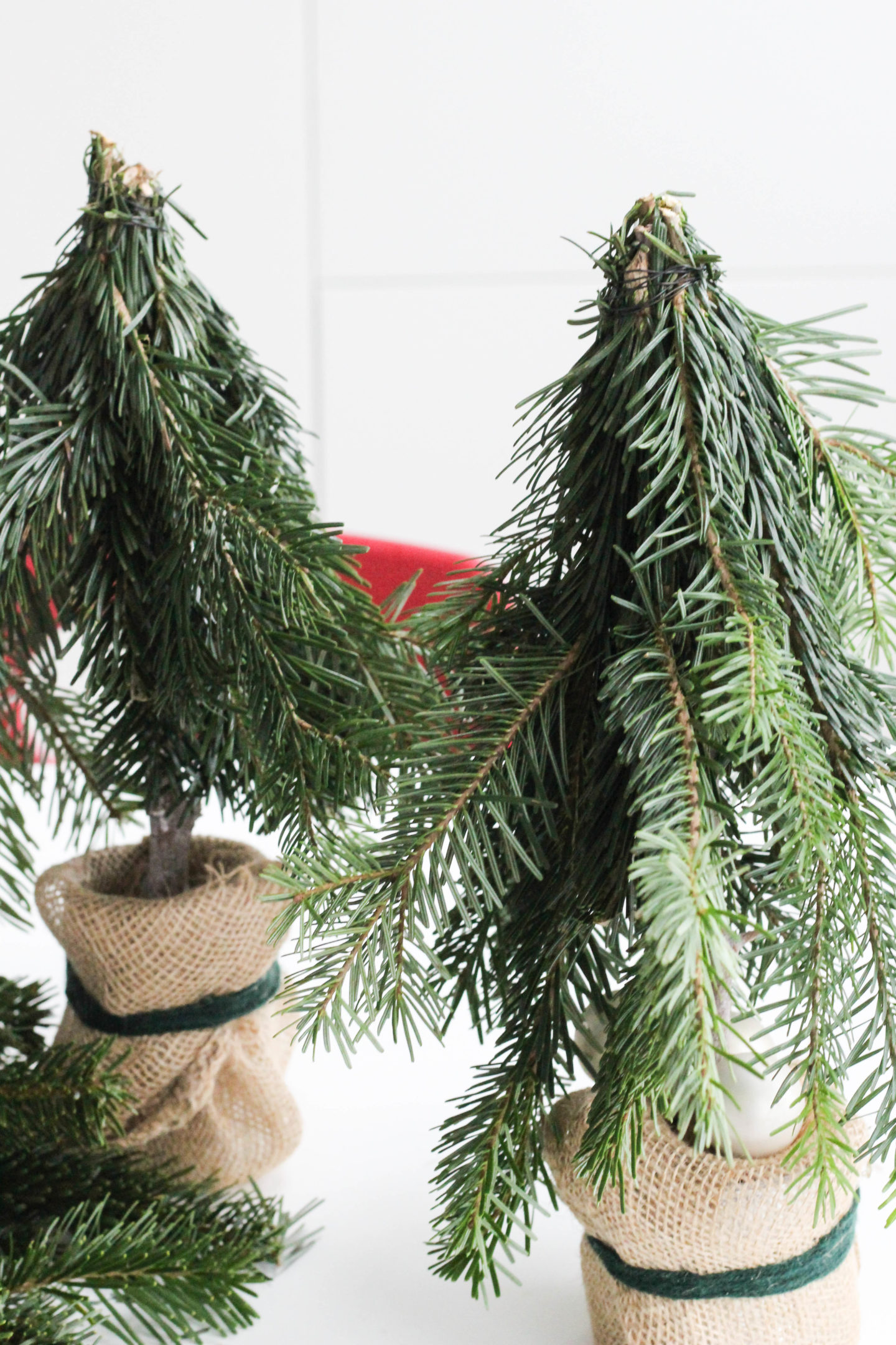 vegane-nussknoepfe-diy-weihnachtsbaum-selbstgemacht-christmas-homespa-plantbased-1-von-1-5