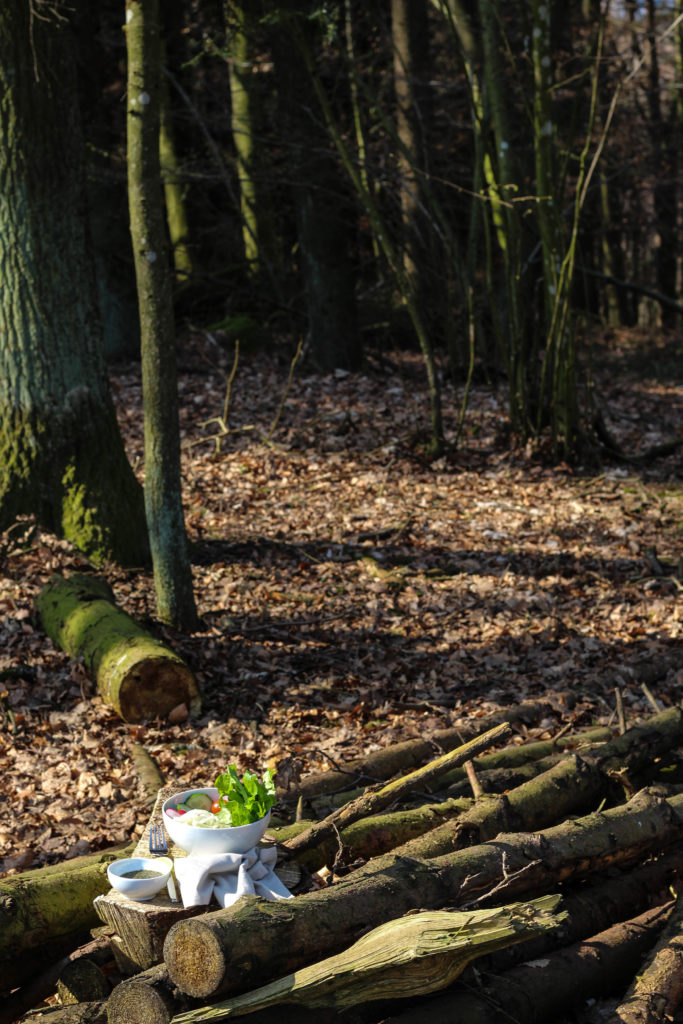 Detox Bowl - Vegan - Nature - HomeSpa - Wald - Outdoor Food - Foodstyling - Austria 