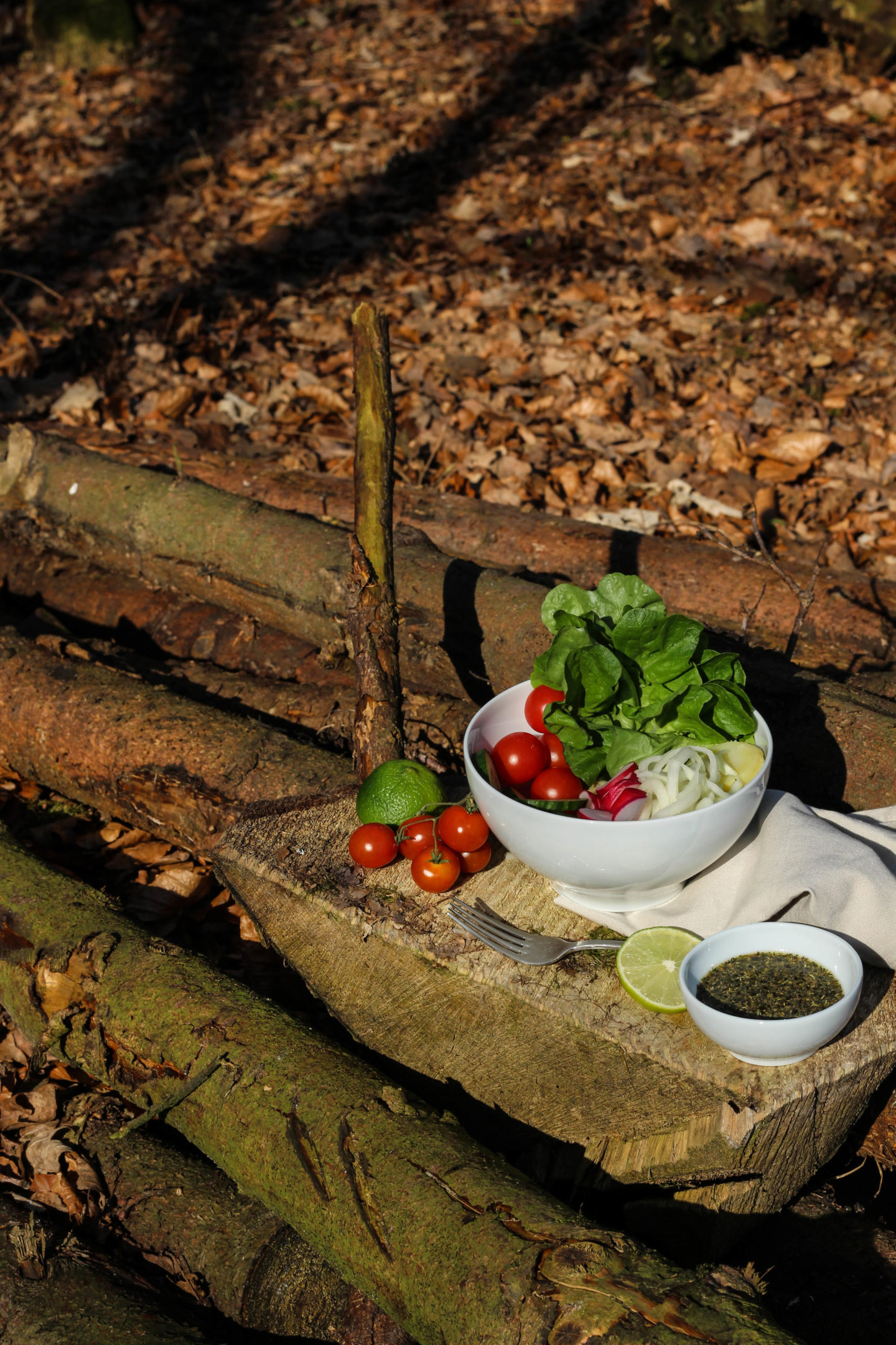 Detox Bowl – Vegan – Nature – HomeSpa – Wald – Outdoor Food – Foodstyling – Austria