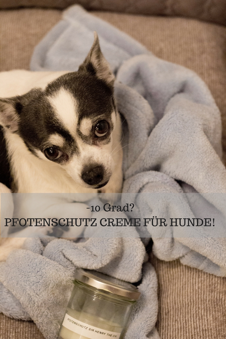 HomeSpa, Vegan Cooking, Austria, Pfotenschutz für Hunde 