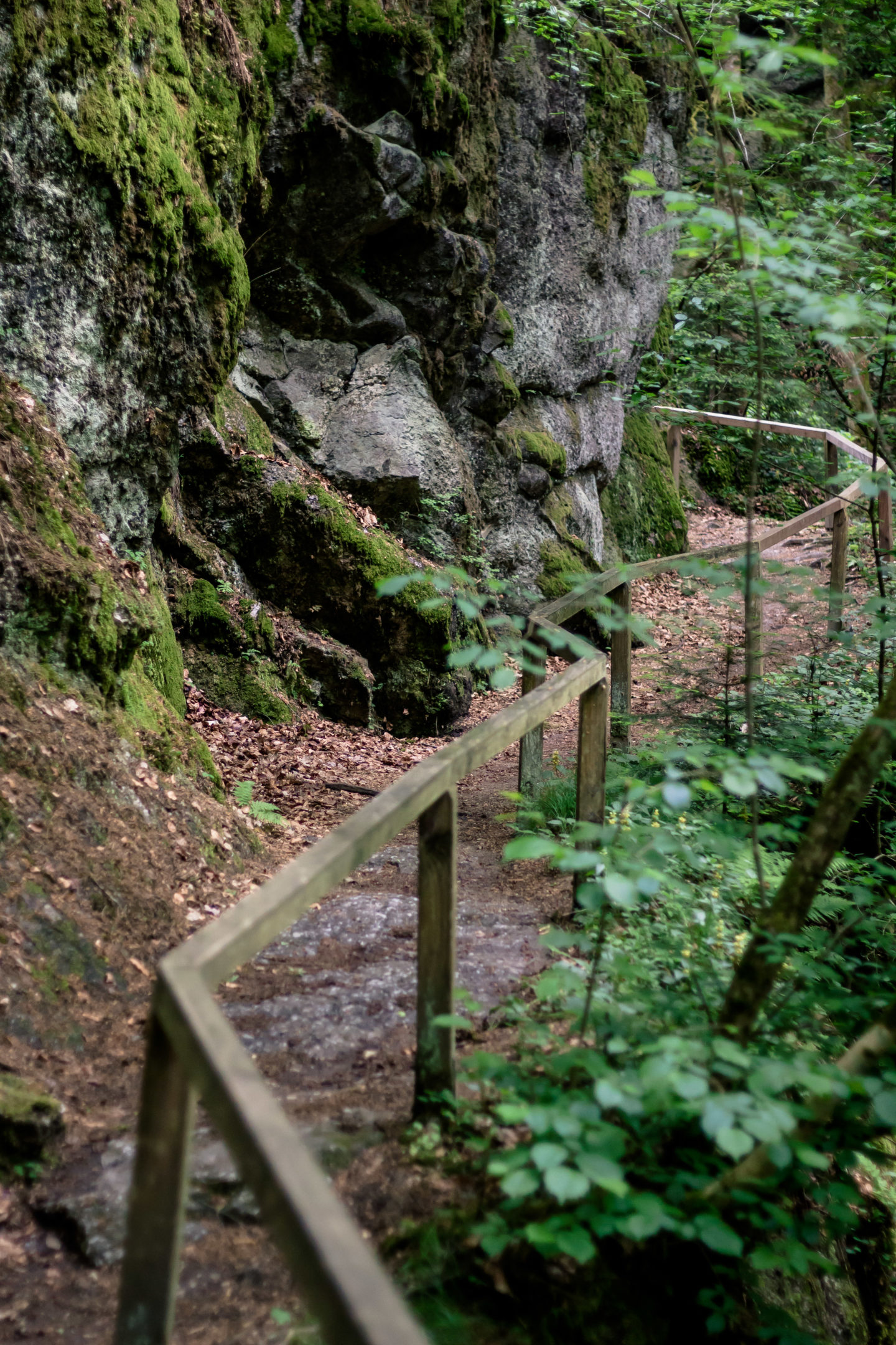 Die Wolfsschlucht in Bad Kreuzen - Eine mystische Felsenschlucht voller Abenteuer!