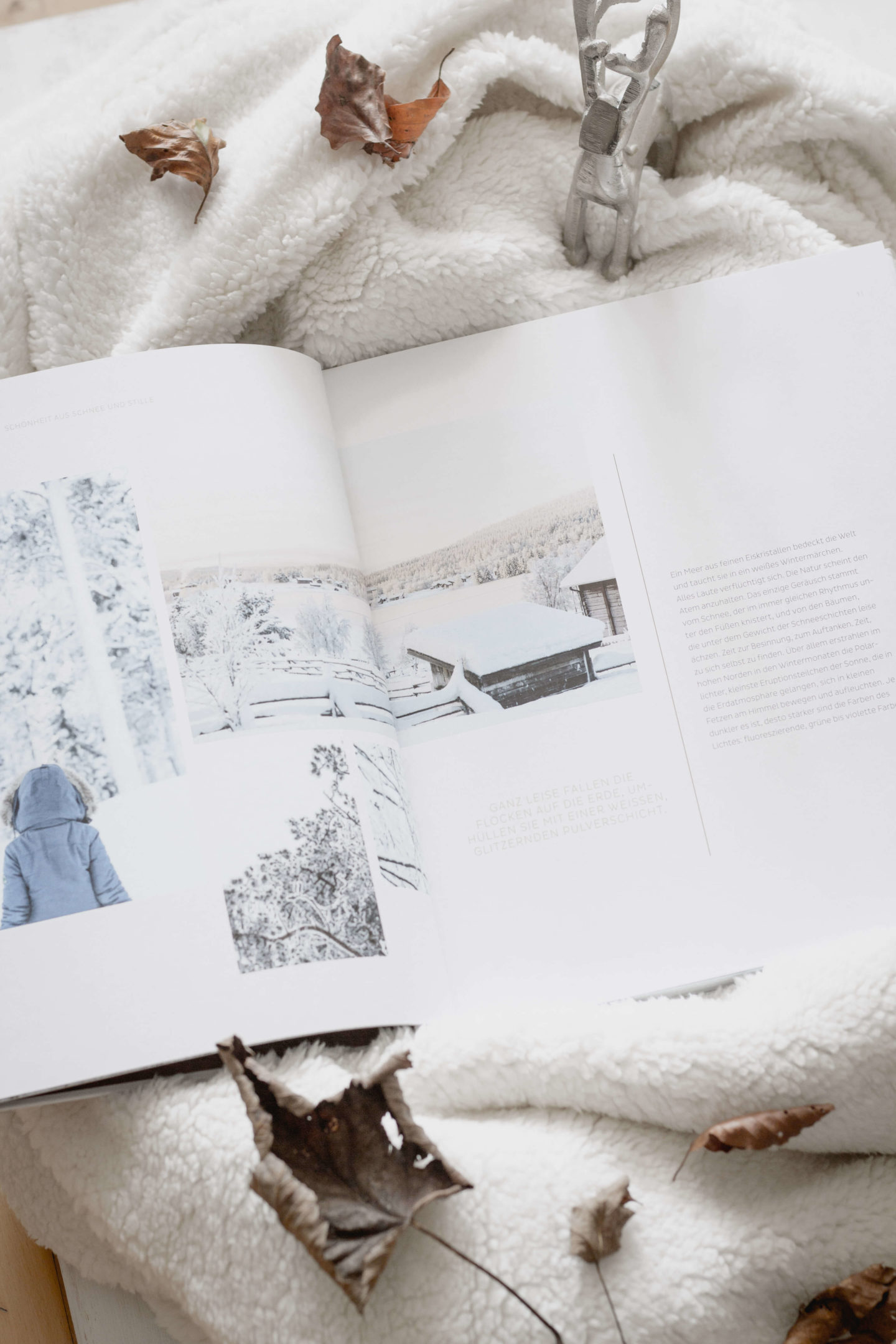 Hello Snow Kochbuch- Kochen -Lesen -Genießen- Soulfood – Schnee – Rentiere – Eintopf – Dein HomeSpa – Food & Lifestyleblog aus dem Mostviertel-Ötscher