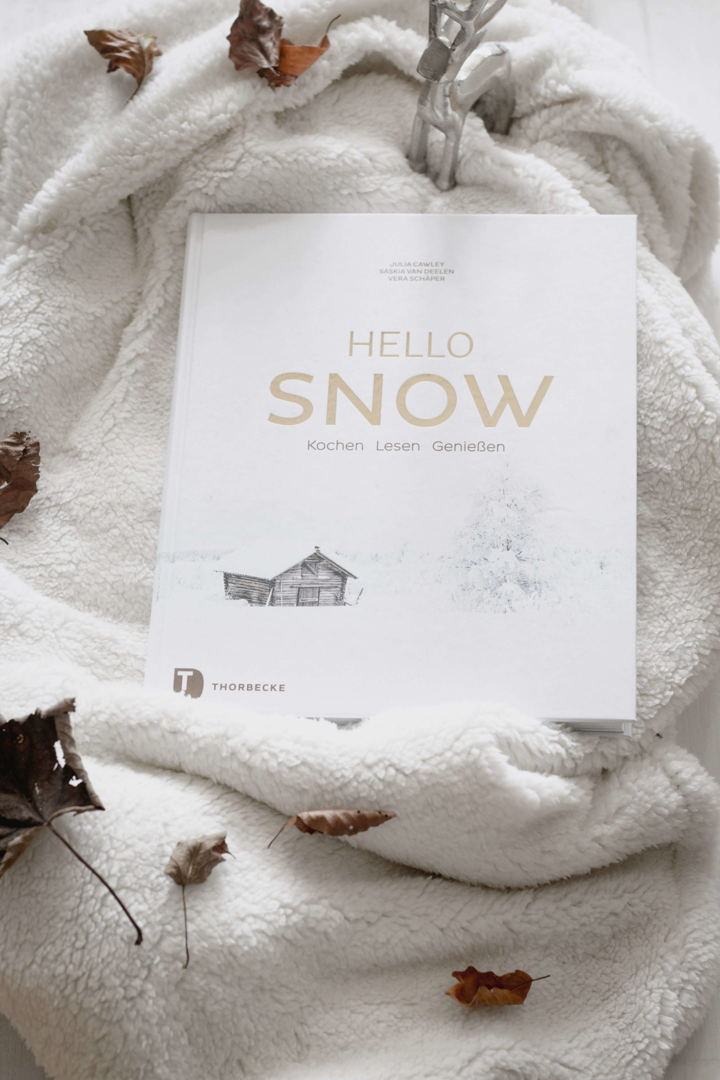 Hello Snow Kochbuch- Kochen -Lesen -Genießen- Winterzeit – Soulfood – Schnee – Dein HomeSpa – Food & Lifestyleblog aus dem Mostviertel-Ötscher