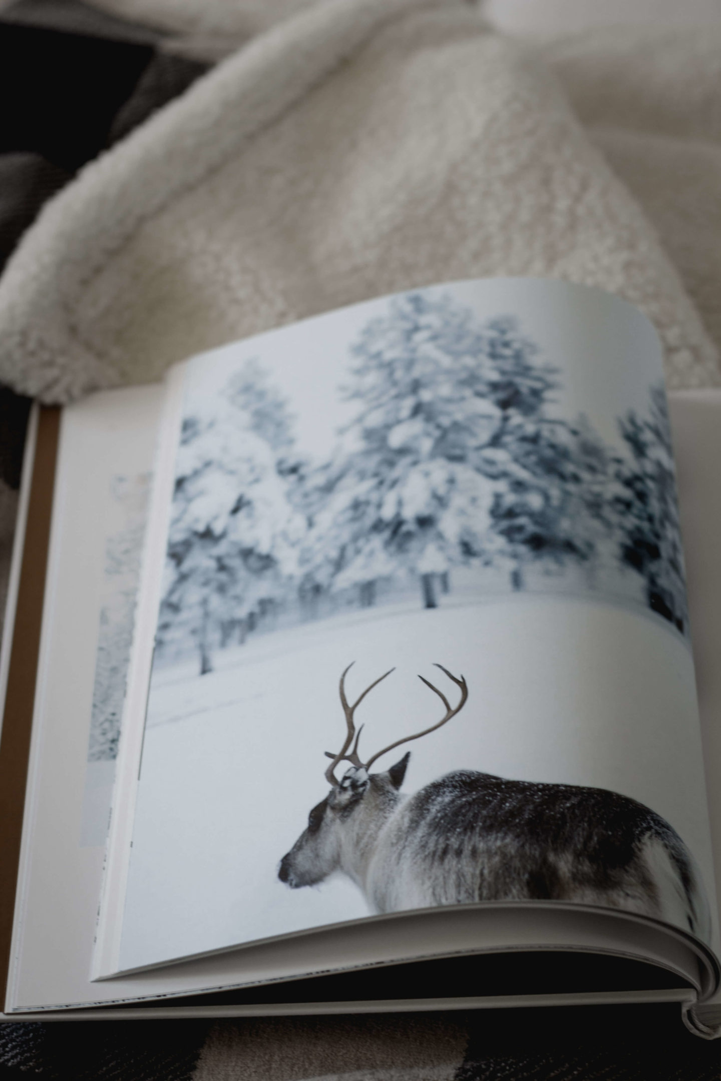 Hello Snow Kochbuch- Wintergefühle – Kochen – Lesen – Genießen – Liebeserklärung an den Winter – Schneeflocken – Entschleunigung- Dein HomeSpa – Food & Lifestyleblog aus dem Mostviertel-Ötscher
