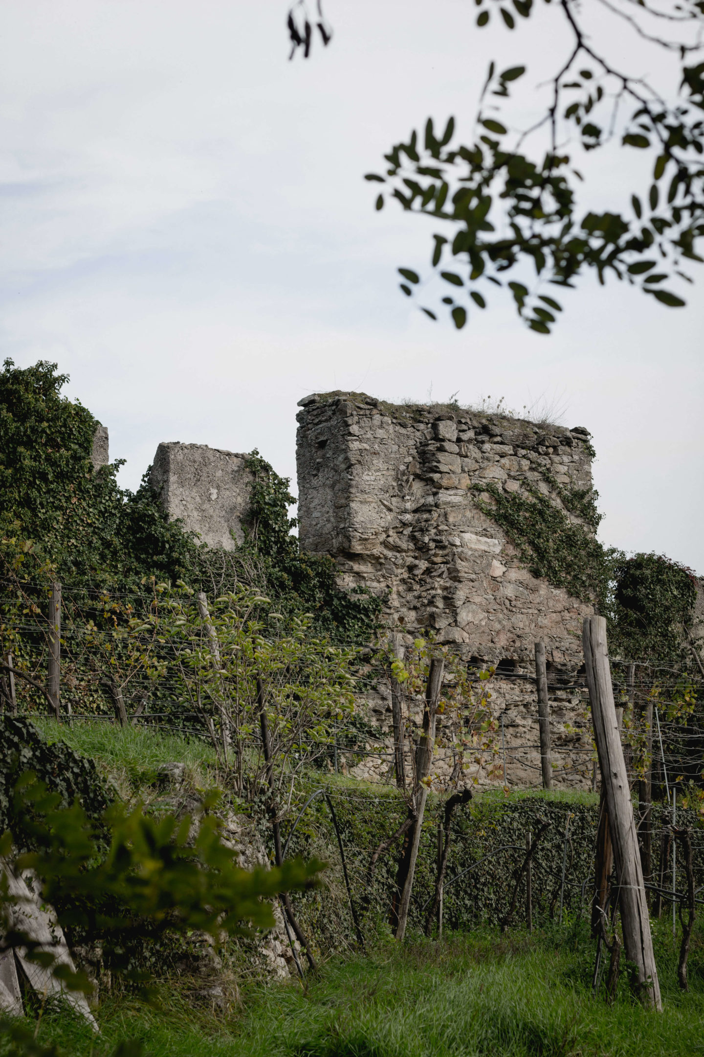 Vogelbergsteig- Ruine Dürnstein- Wachau- Weltkulturerbe-Mittelalter- Dein HomeSpa – Food & Lifestyleblog aus dem Mostviertel-Ötscher
