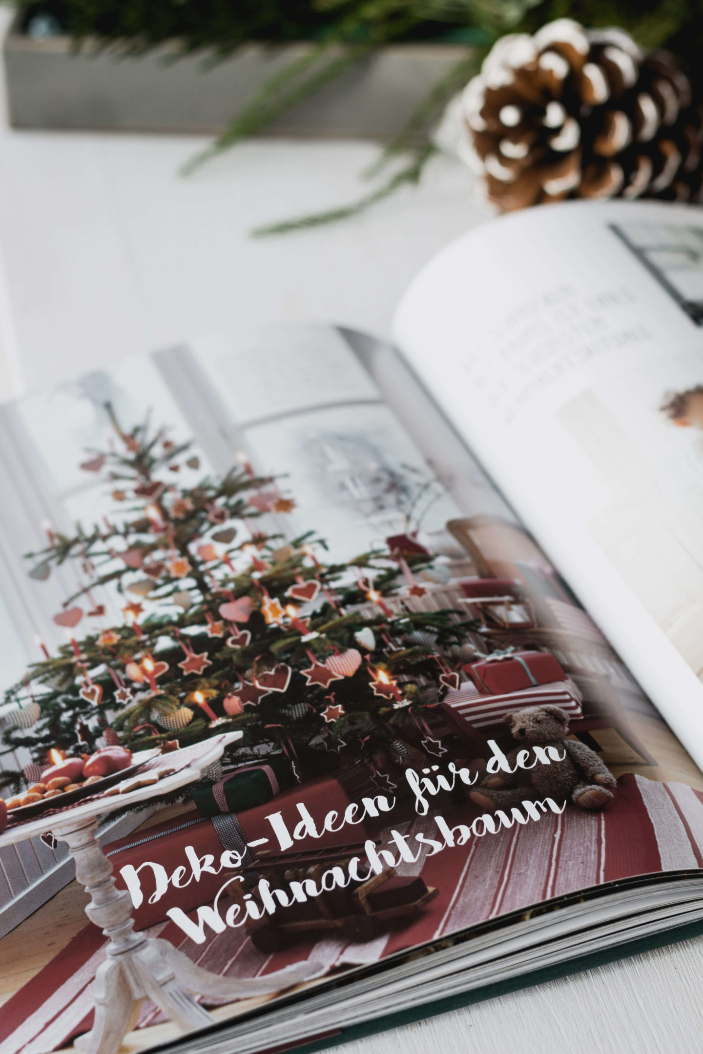 Weihnachten in den Bergen-Kochbuch- ländliche Weihnachtstradition-Adventszeit-Hygge-Berge-Gemütlich-Auszeit-Winter-Dein HomeSpa – Food & Lifestyleblog aus dem Mostviertel