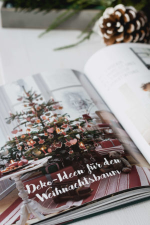 "Weihnachten in den Bergen" - Kochbuch Empfehlung
