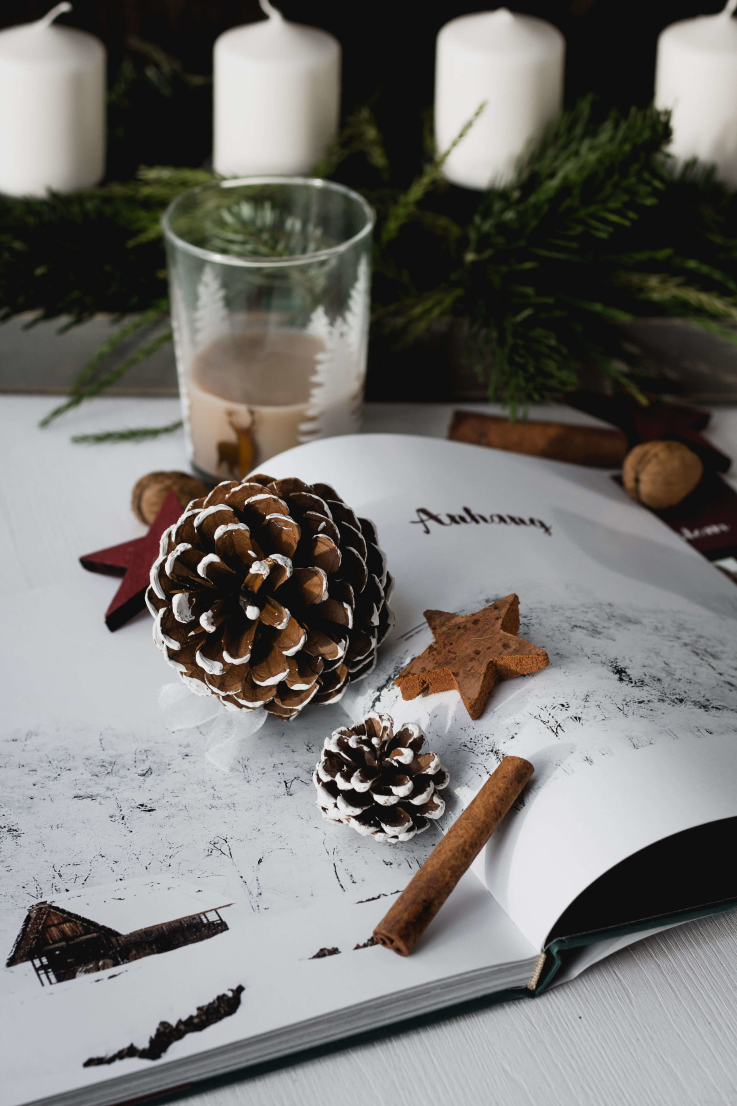 Weihnachten in den Bergen-Kochbuch- ländliche Weihnachtstradition-Adventszeit-Hygge-Rezepte-Auszeit-Winter-Dein HomeSpa – Food & Lifestyleblog aus dem Mostviertel