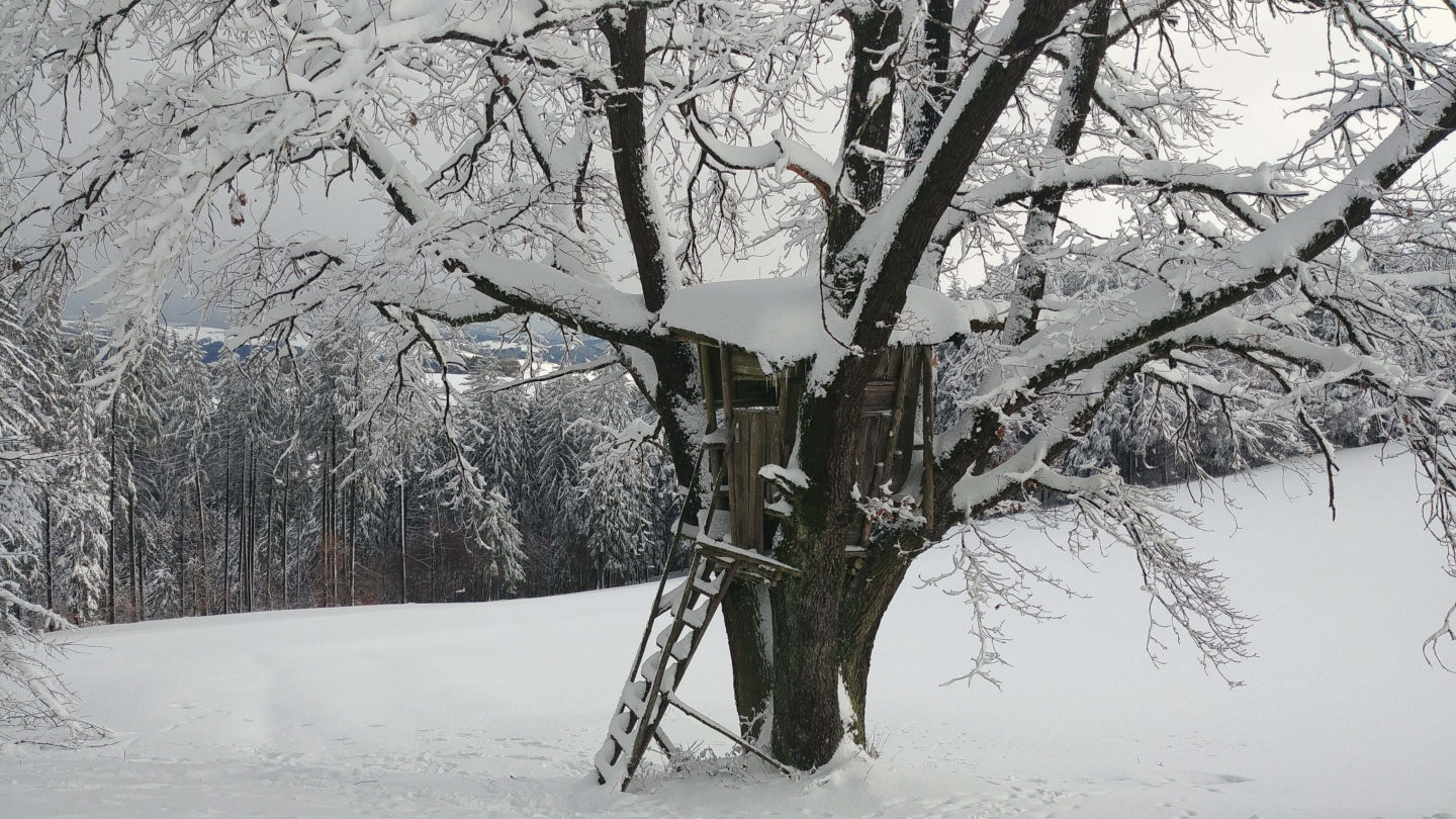 Schneeschuhwandern im Mostviertel- Hygge-Winterwandern-Dein HomeSpa- Food & Wohlfühlblog aus dem Mostviertel