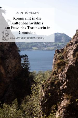 Kaltenbachwildnis-Gmunden-Traunsee- Traunstein - Wnader im Salzkammergut- Wandern in Gmunden am Traunsee- Dein Homespa - Food und Wohlfühlblog aus dem Mostviertel