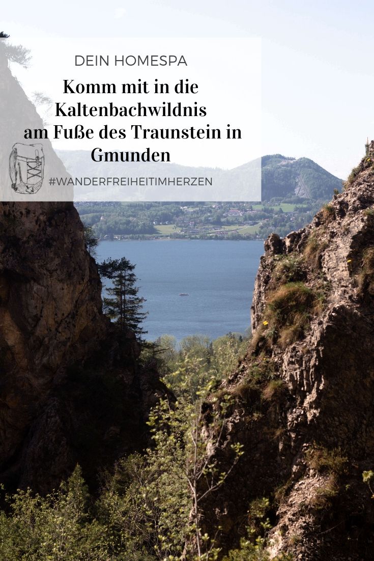 Kaltenbachwildnis-Gmunden-Traunsee- Traunstein – Wnader im Salzkammergut- Wandern in Gmunden am Traunsee- Dein Homespa – Food und Wohlfühlblog aus dem Mostviertel